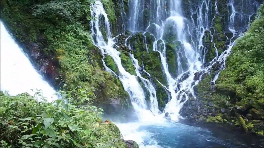 大山羔羊逃生